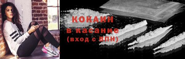 дживик Баксан