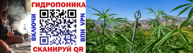 Бошки Шишки THC 21%  Шагонар 